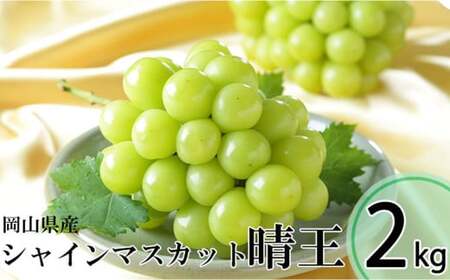 シャインマスカット 晴王 3～6房 計約2kg 【2026年8月下旬～11月下旬迄発送】 ／ マスカット 葡萄 ぶどう 果物 果実 フルーツ 種なし 皮ごと 大粒 岡山県 美咲町 冷蔵