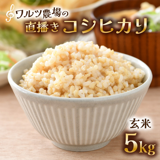 【先行予約】【令和8年産 新米】ワルツ農場の直播き コシヒカリ 玄米 5kg / お米 ご飯 つや 艶 甘味 旨み あわら市産 福井県産 慣行栽培 コメ 北陸 福井県 あわら市 ※2026年10月下旬以降発送予定 [aw046-a006]