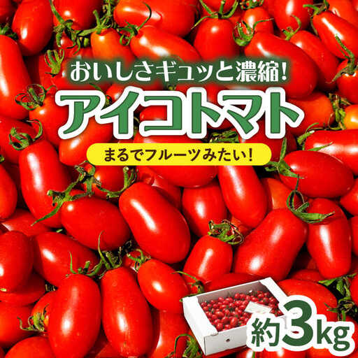 完熟アイコトマト 約3kg / トマト  [SCB052] 