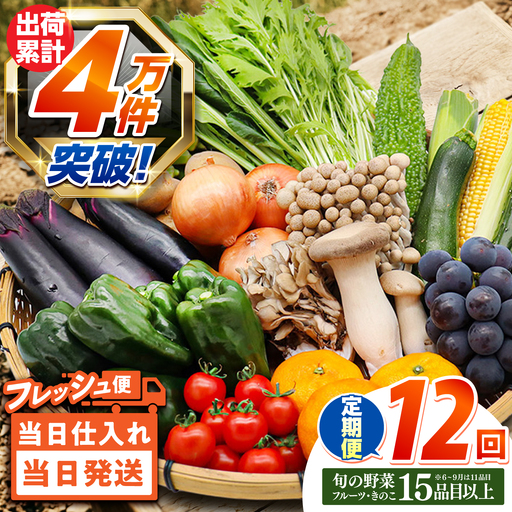 【12回定期便】野菜定期便15品目以上 [SCZ019] 