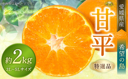【希望の島】 甘平 特選品 大玉 2kg 愛媛県 松山市 中島産 かんぺい 柑橘 贈答用 果物 くだもの フルーツ デザート オリジナルブランド 国産 常温 【2027年2月下旬-3月下旬迄発送予定】（1016） 