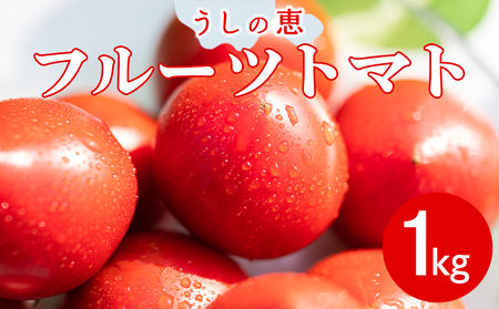 トマト 野菜ソムリエが育てた フルーツトマト 1kg(500g×2) 野菜 mj-0027