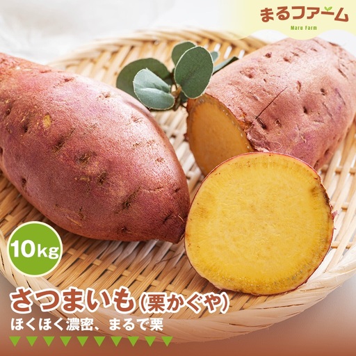 サツマイモ（栗かぐや） 10kg ／ さつまいも 栗かぐや 国産 新品種 希少品種 甘み ホクホク 食感 黄金色 果肉 焼き芋 料理用 大容量 日常使い 千葉県 特産 No.375