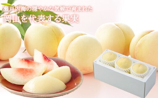 岡山白桃 エース3玉×約200g 計約600g 岡山県産 【2027年7月上旬～8月下旬まで順次発送予定】 モモ もも 桃 白桃 果物 フルーツ 岡山県 倉敷市