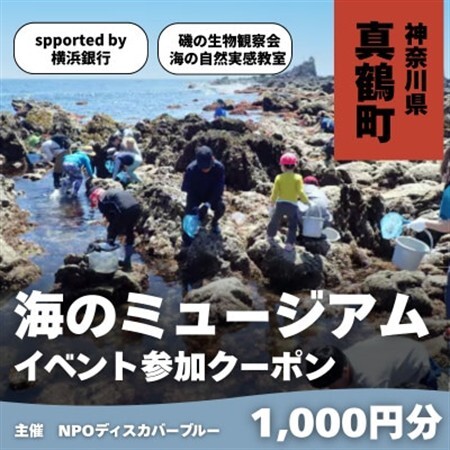 「海のミュージアム 磯の生物観察会・海の自然実感教室」参加費1000円分クーポン【1697092】