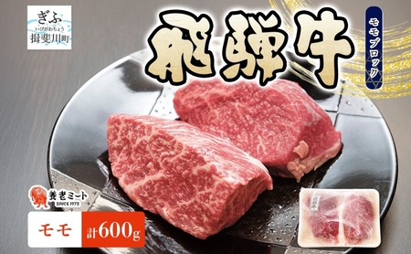 飛騨牛 モモ ブロック 赤身肉 塊肉 飛騨牛【600g(300g×2p)】【冷凍】