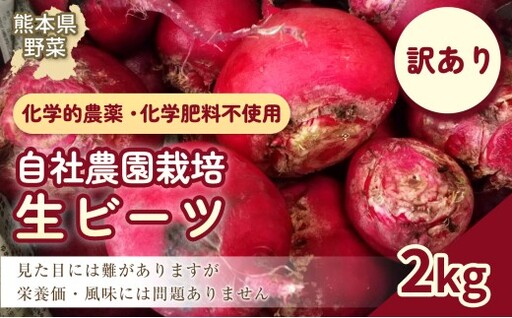 【訳あり】自社農園栽培 生ビーツ2kg ビーツ やさい 野菜 訳アリ 訳あり 健康 美容 冷蔵 国産 九州 熊本県 あさぎり町