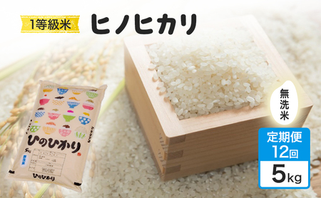 ヒノヒカリ 1等級米 無洗米 令和7年産 ヒノヒカリ【5kg】【定期便 全12回】