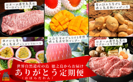 世界自然遺産の島 徳之島 ありがとう(おぼらだれん)定期便 ( 定期便 5等級 鹿児島黒牛 果物 野菜 牛肉 フルーツ マンゴー パッションフルーツ じゃがいも 黒毛和牛 ステーキ すき焼き しゃぶしゃぶ 徳之島 奄美 鹿児島 旬 プレミアム )