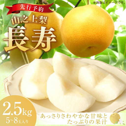 《先行予約》｢丸坂山田農園｣山之上梨 長寿 1箱 （ 約2.5kg ／ 5～8玉 ） 【2026年7月下旬～8月上旬 発送予定】