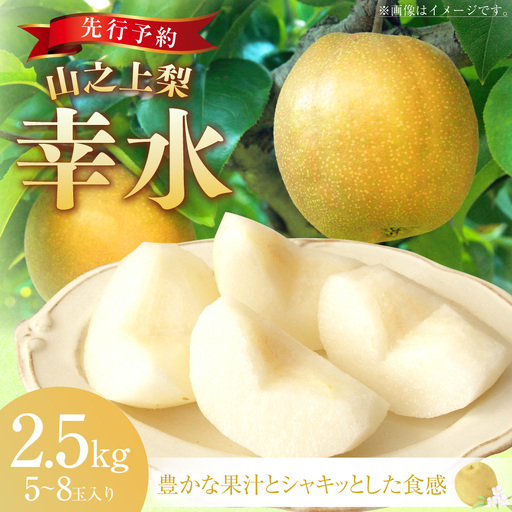 [先行予約]「丸坂山田農園」 山之上梨 幸水 1箱 ( 約2.5kg / 5〜8玉 ) [2026年8月上旬〜8月下旬 発送予定]
