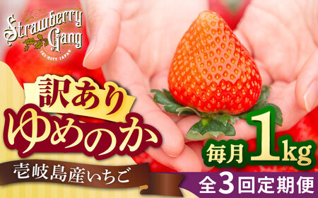 [先行予約][訳あり/簡易包装][全3回定期便]ゆめのか 約250g×4パック[2027年1月以降順次発送][Strawberry Gang] [JEM004] イチゴ 苺 訳あり