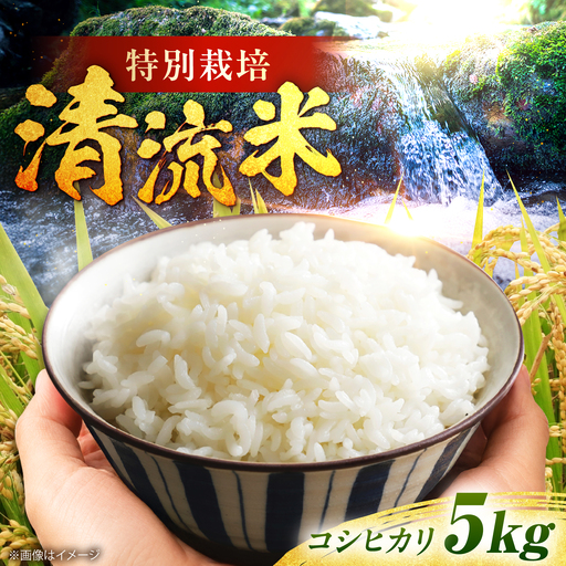 コシヒカリ5kg BIBV008 コシヒカリ