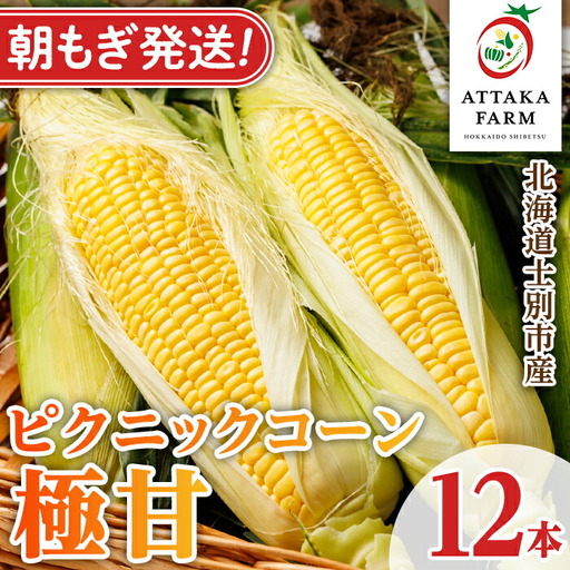 《先行予約受付中》北海道 士別市産 極甘 ピクニックコーン (12本) 【2026年8月以降順次発送】 とうもろこし トウモロコシ とうきび コーン野菜 新鮮 産地直送 甘い 北海道 北海道産 国産 旬 【あったかふぁーむ】【B7127】