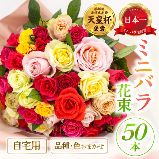産地直送 ミニバラ 花束 50本 ラッピング付 切花 切り花 カットローズ 品種 色 おまかせ 訳あり 訳アリ 四季咲き ミニ バラ 花 ガーデニング 生産量 日本一 ※沖縄 離島配送不可 薔薇 セントラルローズ [mt2085] 