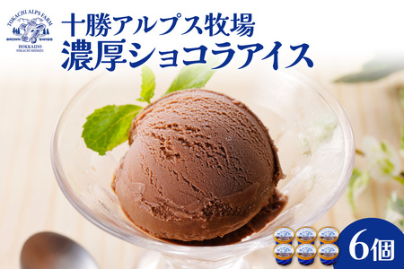 "希少なブラウンスイス生乳使用" 十勝アルプス牧場 濃厚ショコラアイス6個セット