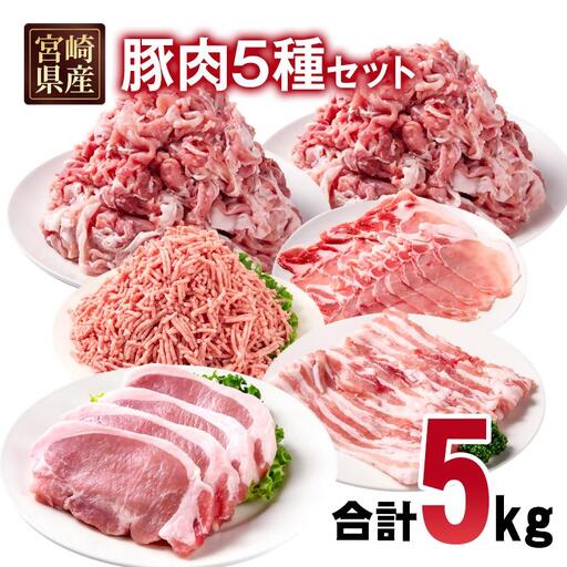 宮崎県産豚肉 5種 合計5kg セット 小分け24パック＜70-25a＞