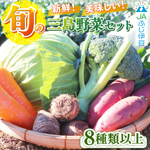 [2026年9月発送 夏野菜]三島野菜詰め合わせセット 8種類以上