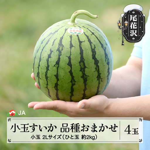 尾花沢産小玉すいか スイカ 2Lサイズ×4玉 令和9年産 ja-suk2x4