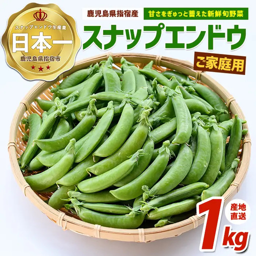 2027年2月上旬以降発送 ご家庭用スナップエンドウ約1kg IB092-001