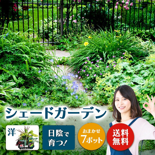 日陰で育つシェードガーデン(洋風)セット[ガーデニング 家庭菜園 園芸 初夏 夏 花壇 庭 鉢 玄関 プランター 寄せ植え おうち時間 趣味 ベランダ 土っ子倶楽部 プレゼント ギフト ]