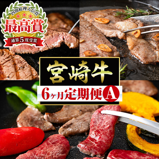 [定期便・全6回]宮崎牛定期便[Aセット・焼肉] お楽しみ便 牛肉 国産 定期 ヒレ肉 モモ ウデ ロース バラ 宮崎県産 黒毛和牛 焼肉 ステーキ [R-100][ミヤチク]