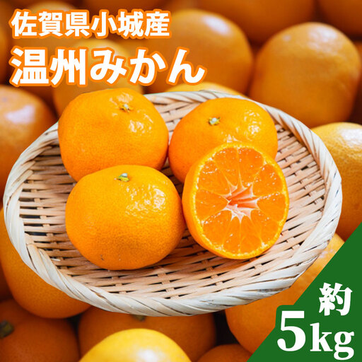 【先行予約】 佐賀県産 みかん 5kg 江里口農産加工 大津 温州みかん A085-030