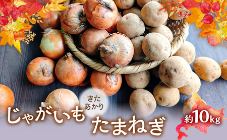 [2026年発送] オーガニック じゃがたま BOX 約10kg 有機栽培 じゃがいも 玉ねぎ 北海道 倶知安 ニセコグリーンファーム