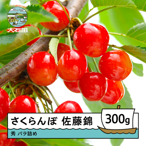 [先行予約] 令和9年産 さくらんぼ 佐藤錦 秀 約300g