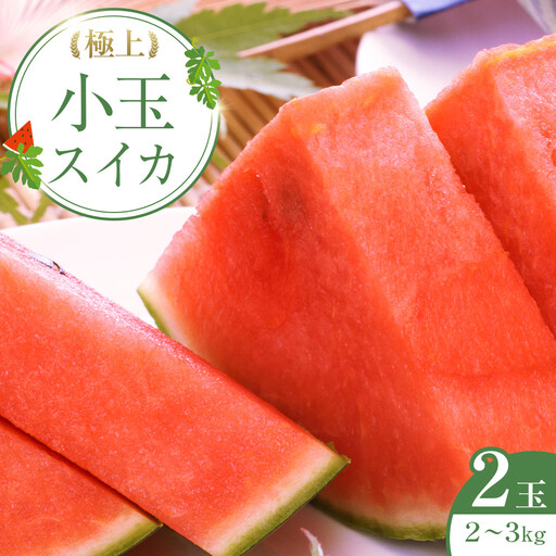 【2027年産先行予約】極上小玉スイカ 2玉 ※2027年6月上旬～8月中旬頃に順次発送予定 スイカ