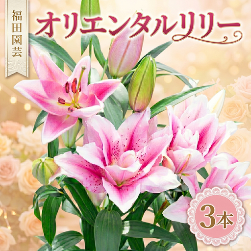 ユリ(オリエンタルリリー)3本[ユリ]