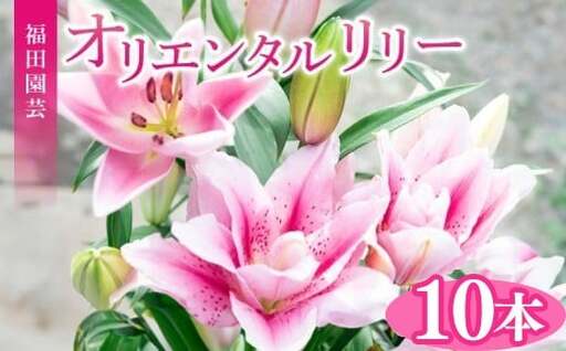 ユリ(オリエンタルリリー)10本【ユリ】