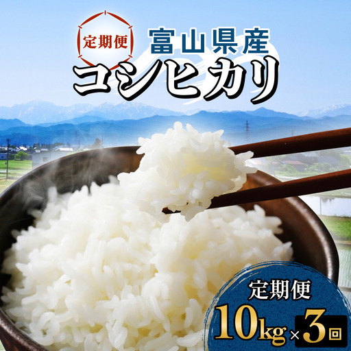 【3回定期便】富山県産 コシヒカリ 10kg 富山県 氷見市 米 コシヒカリ 定期便