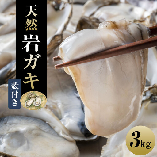 129.[先行予約]天然岩ガキ 3kg(殻付き)岩がき 牡蠣◇ ※2027年6月〜8月上旬頃に順次発送予定 ※北海道・沖縄・離島への配送不可