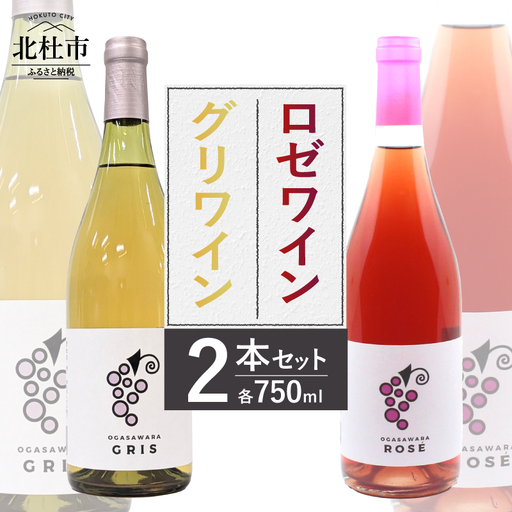 ロゼワイン・グリワイン2本セット　750ml 2本 辛口 数量限定 アルコール分10％ 白ワイン アルコール分8％ 飲みやすい 巨峰 甲州 黄玉 記念日 飲み比べ ご褒美 お酒 国産ワイン 贈り物 ギフト 山梨県 北杜市 小笠原ワイナリー 小笠原ファーム [h086]