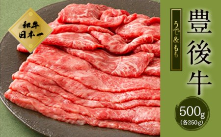 大分県竹田市産 おおいた和牛 うで・もも すき焼き用 【500g】