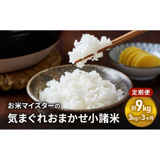 お米マイスターおすすめ小諸米 精米 3kg 3ヶ月定期便