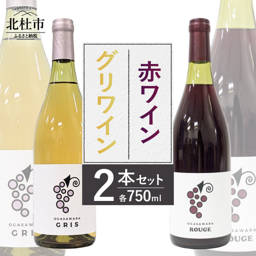 赤ワイン・グリワイン 2本セット　ワイン 750ml 2本 セット 辛口 数量限定 アルコール 10％ 8％ マスカットベーリーA 飲み比べ ご褒美 肉料理 パスタ 魚料理 マリネ 酒 国産 記念日 贈り物 ギフト 山梨県 北杜市 小笠原ワイナリー 小笠原ファーム [h086]