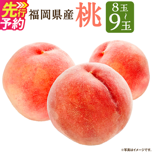 桃 8玉〜9玉 福岡県産 産地直送 フルーツ 果物 もも ピーチ 果物 フルーツ お取り寄せ [2027年6月下旬〜7月下旬発送]