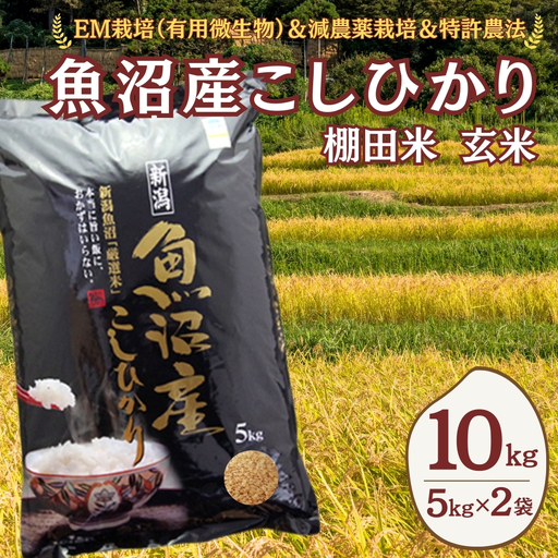 魚沼産コシヒカリ 玄米 10kg(5キロ×2) 佐藤農場 | おこめ 玄米 新潟県 小千谷