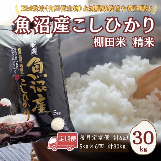 [令和8年 先行予約 定期便]魚沼産コシヒカリ 30kg (5キロ×6回) 佐藤農場 | 新潟県 おこめ コシヒカリ 小千谷