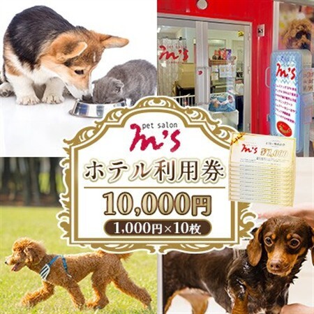 熊本県益城町 ペットサロン エムズ(M's) ホテル利用券 10,000円(1000円×10枚)
