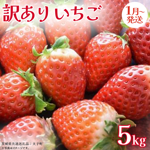 訳ありいちご 5kg【2027年1月発送開始】(茨城県共通返礼品：大子町) 苺 果物 フルーツ 果実 ご家庭用