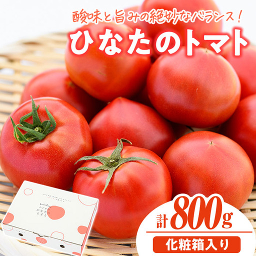 [先行予約受付中!2027年1〜5月の間に発送予定]門川ひなたのトマト(800g×1箱) 野菜 冷蔵 [TM-01][宮崎県農業協同組合日向地区本部(門川選果場)]