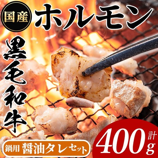 国産 黒毛和牛 ホルモン 計400g(400g×1P) &鍋用醤油タレ(濃縮タイプ：30g×3P) 牛肉 【ナンチク】A993