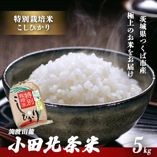 米 令和7年産 特別栽培米コシヒカリ5kg コシヒカリ