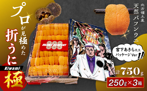 ≪プロ厳選≫最高級折うに(極)宮下あきら先生パッケージVer計750g うに ウニ 雲丹 折うに 海鮮 海産物 北海道 浜中町 ふるさと納税 人気_H0014-125
