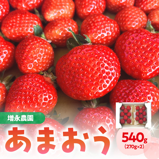 【増永農園】 あまおう 270g×2パック 【2027年1月より順次発送】 ジューシー フレッシュ 苺 果物 くだもの スイーツ作り 数量限定 イチゴ 期間限定 美味しい いちご 福岡県 八女市 190-001