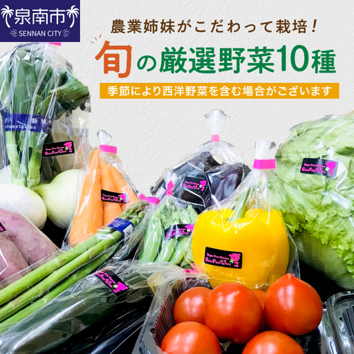 農業姉妹がこだわって栽培!旬の厳選野菜10種[024D-012]