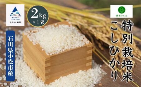こしひかり 精米 2kg  特別栽培米 令和7年産 こしひかり コシヒカリ 農家ふじた